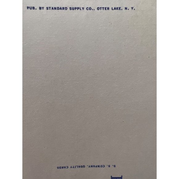 Linen Postcard The Hedges Resort In The Adirondack Mountains NY 1930s Vintage - Picture 5 of 5